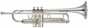 YTR 5335 GS