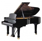 George Steck GS208