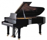 George Steck GF228