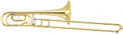 YBL-421 GE