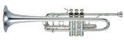 YTR 9445 NY
