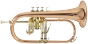 Bach szárnykürt FH501